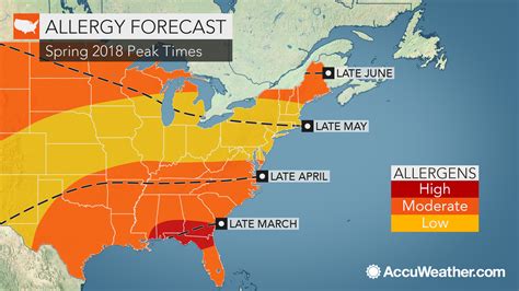 pollen nation online|Current Pollen Allergy Forecast for Bay City, TX (77414.